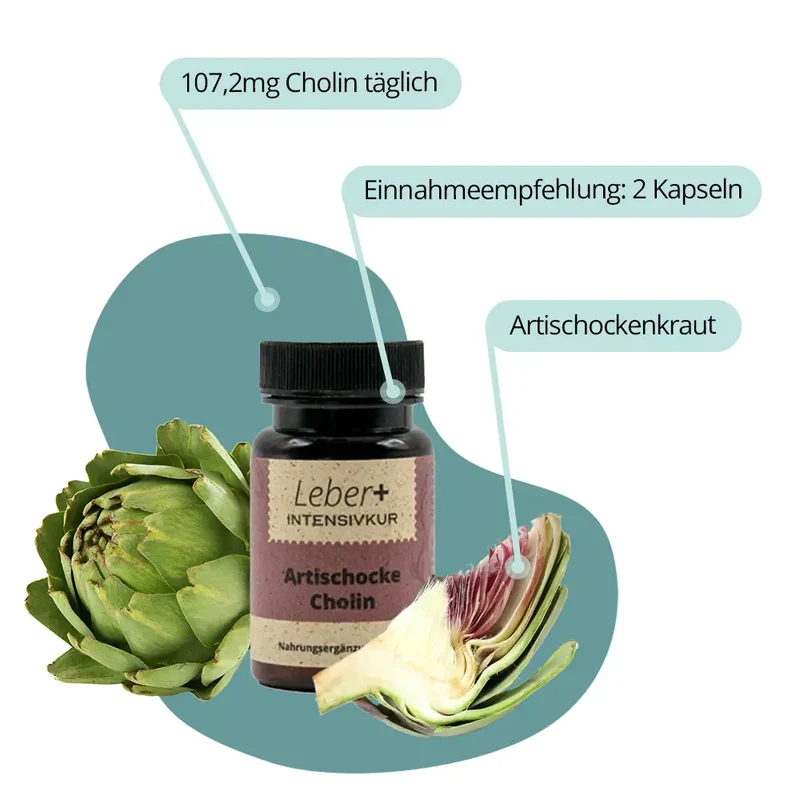 Leber+ Box - 14-Tage Intensivkur