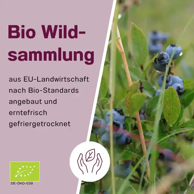 Bio Wildheidelbeerpulver - 200g