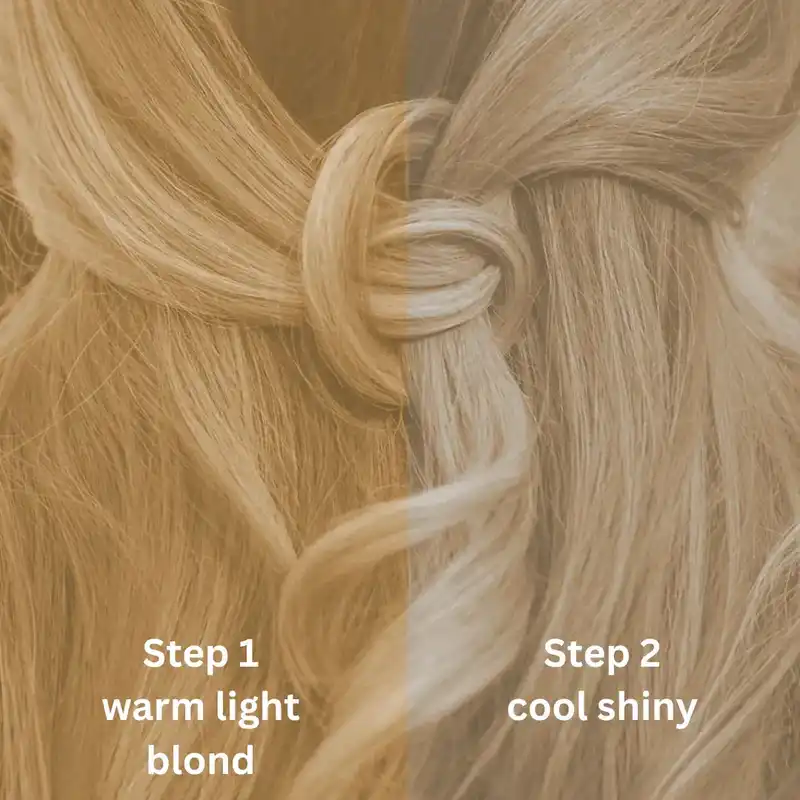 Profi-Pflanzenhaarfarbe kühles Hell-Blond "cool light blond in 2-Steps" 2x 90g Nachfüllpacks