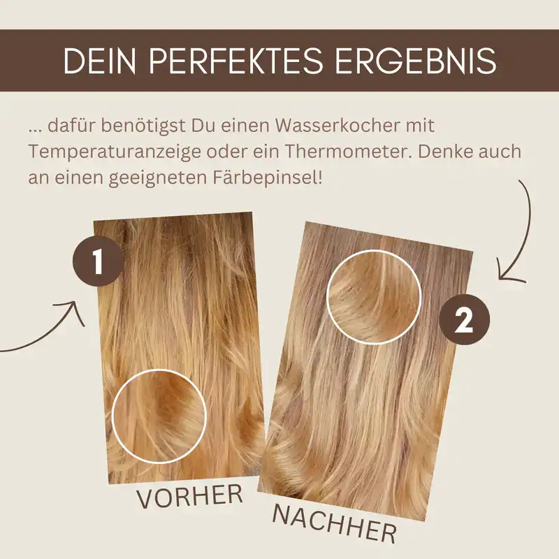 Profi-Pflanzenhaarfarbe kühles Hell-Blond "cool light blond in 2-Steps" 2x 90g Nachfüllpacks