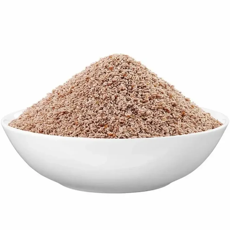 Bio Flohsamen 99%