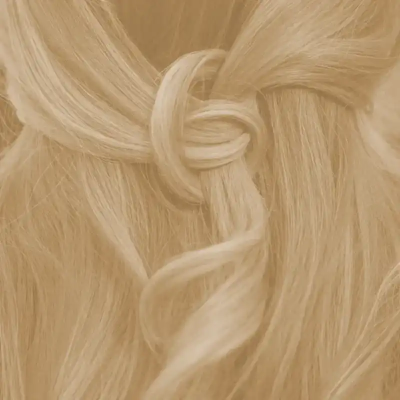 Profi-Pflanzenhaarfarbe SET farblose warm-schimmernde Volumen-Glanz-Haarpackung "warm shiny hair pack"