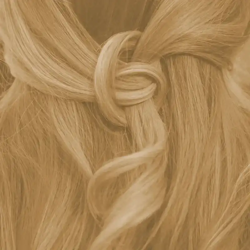 Profi-Pflanzenhaarfarbe SET warmes Hell-Blond "warm light blond"