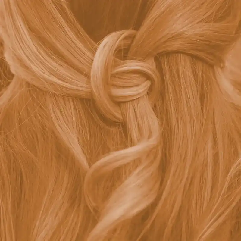 Profi-Pflanzenhaarfarbe SET "warmes helles Kupfer-Blond - warm tizian blond"