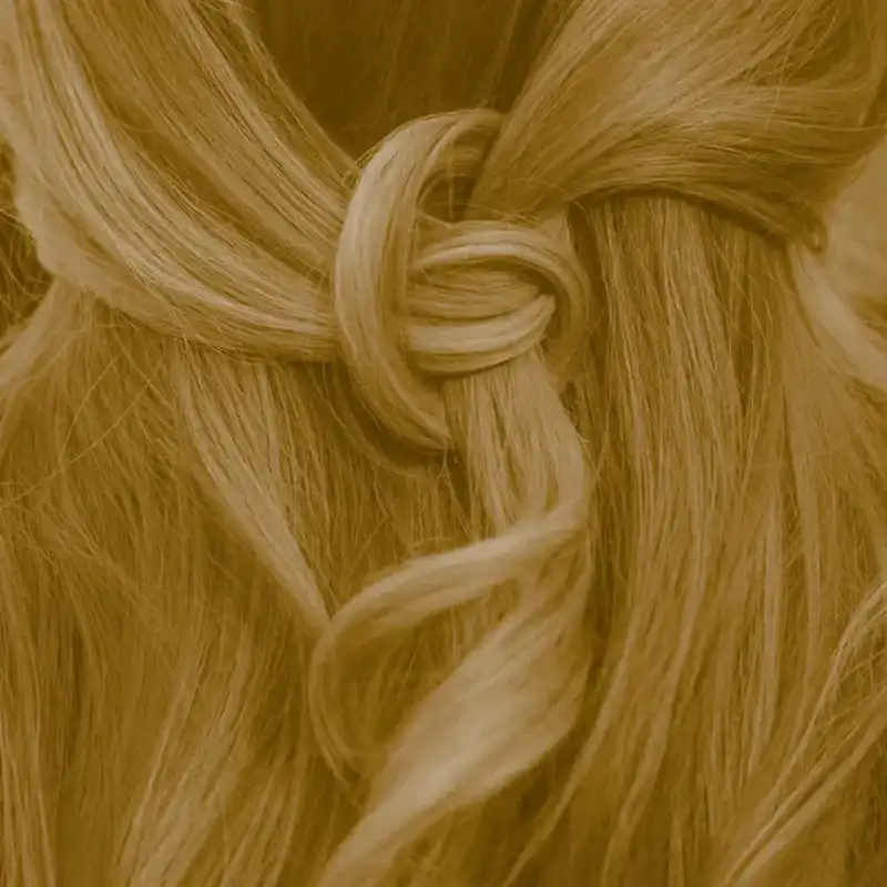 Profi-Pflanzenhaarfarbe SET warmes Sahara-Blond "warm sahara blond"