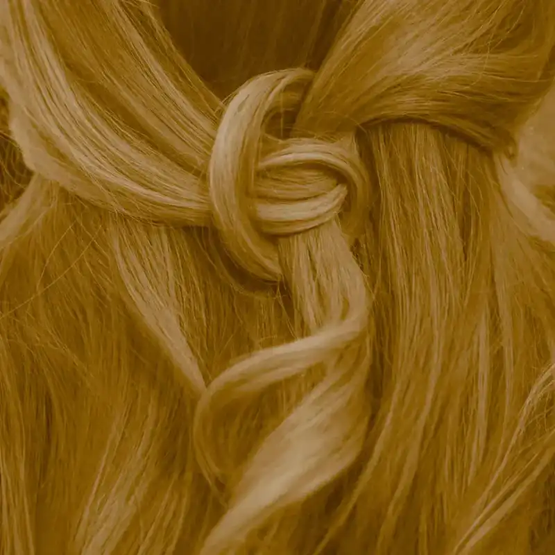Profi-Pflanzenhaarfarbe SET warmes Honig-Blond "warm honey blond"