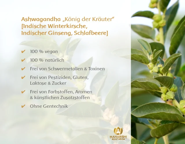 Ashwagandha Natural Super Herb – Ashwagandha Nahrungsergänzung