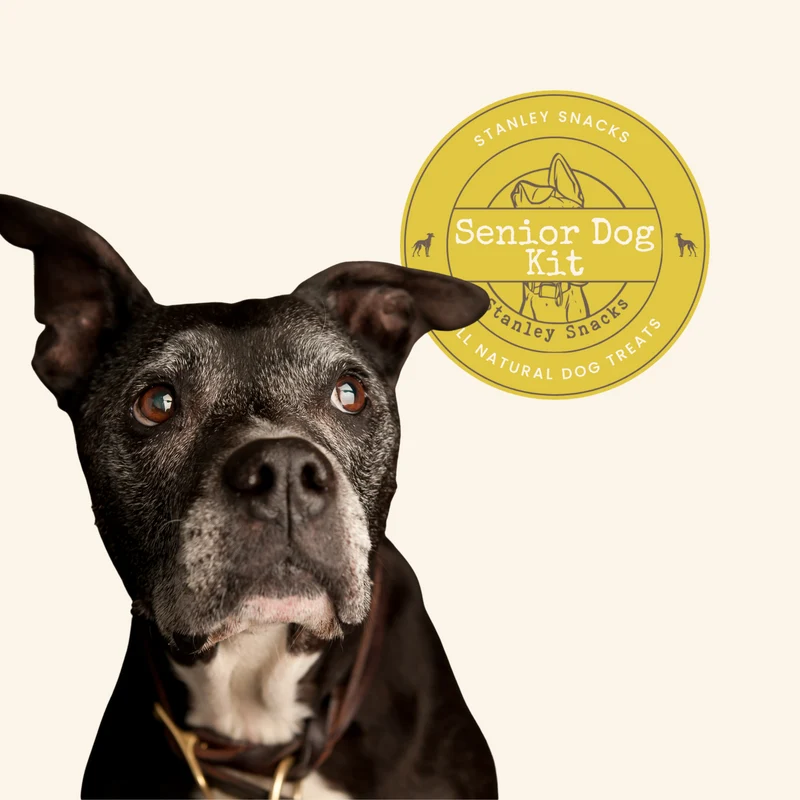 Senior Dog Kit