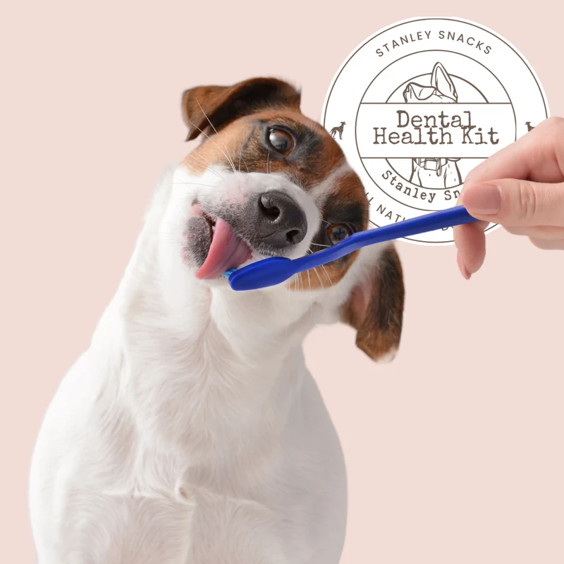 Dental Health Kit