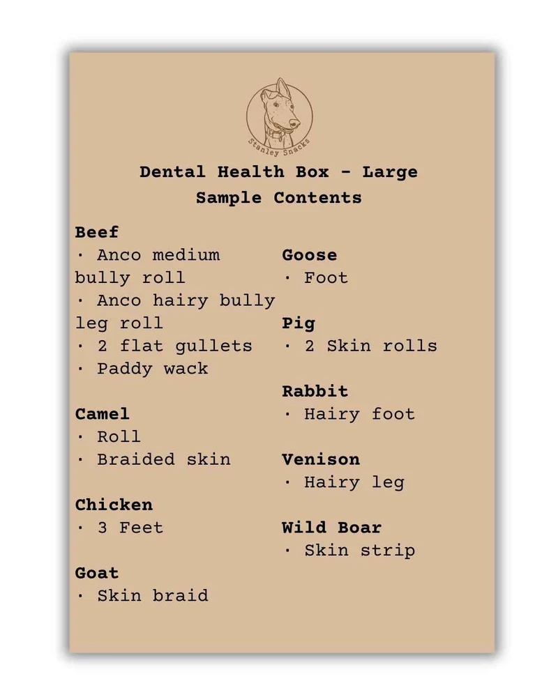Dental Health Box