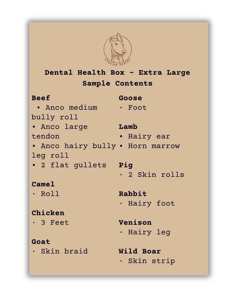 Dental Health Box