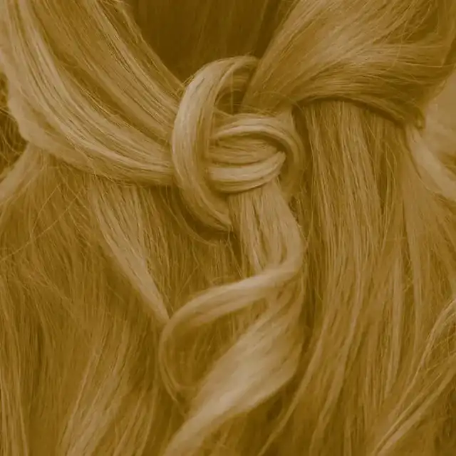 Profi-Pflanzenhaarfarbe warmes Sahara-Blond "warm sahara blond"