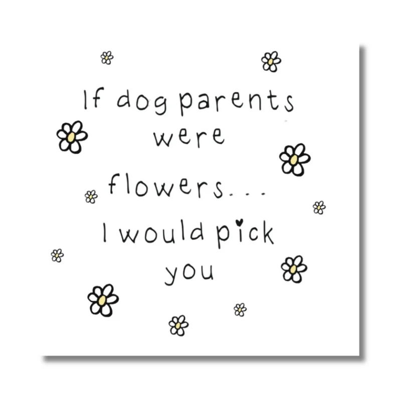 Greetings Cards