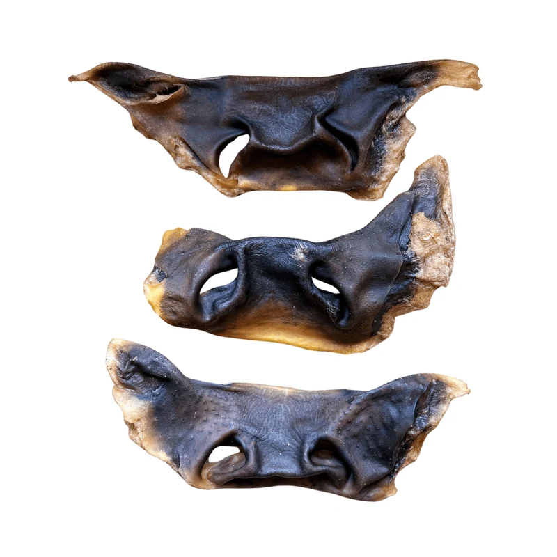 Beef Snout - Large