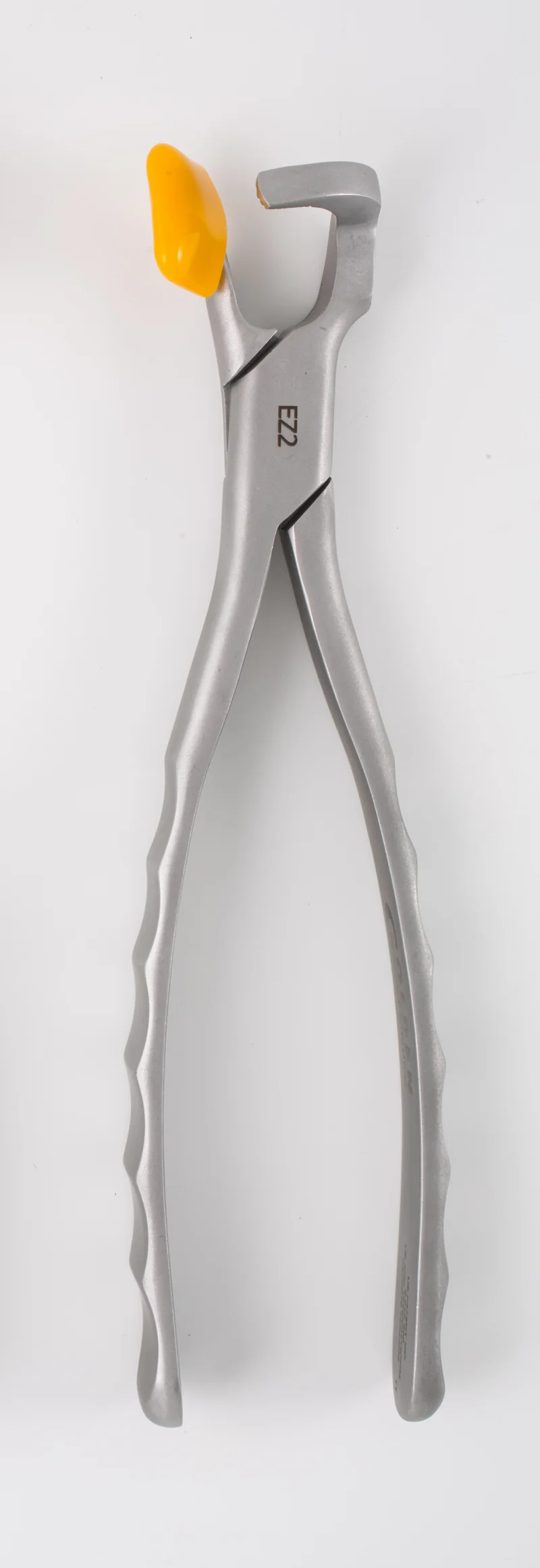 Directa Physics® Forceps GMX 400 MOLAR SERIE Zangen