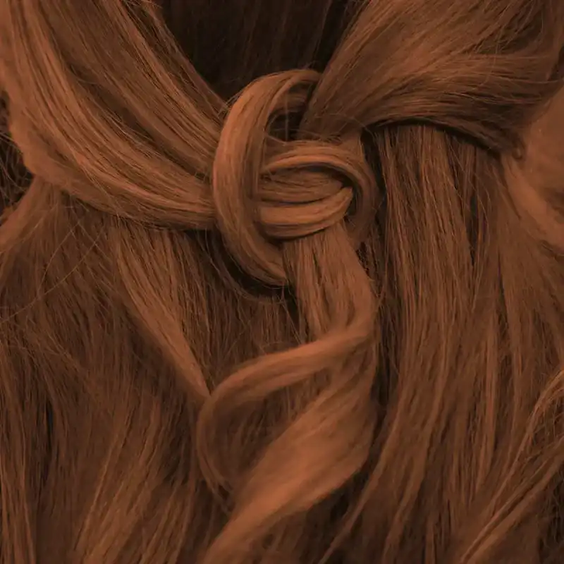 Profi-Pflanzenhaarfarbe "warmes Kastanien braun - warm chestnut brown"