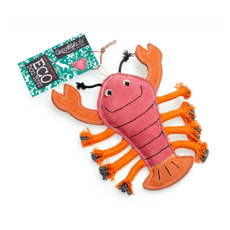 Green & Wilds Eco Dog Toy