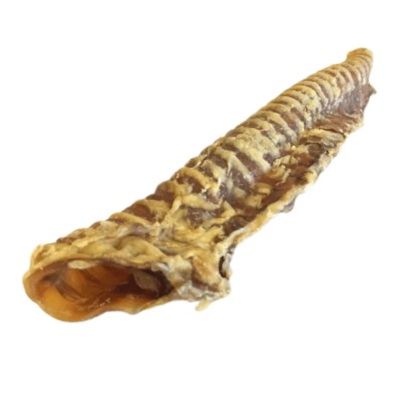 Beef Trachea