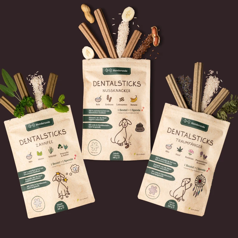 Dental Sticks Probierpaket