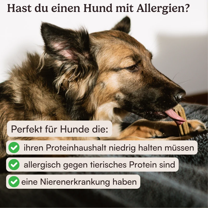 Dental Sticks Zahnfee