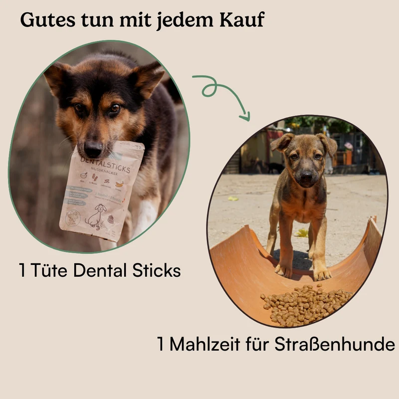 Dental Sticks Nussknacker