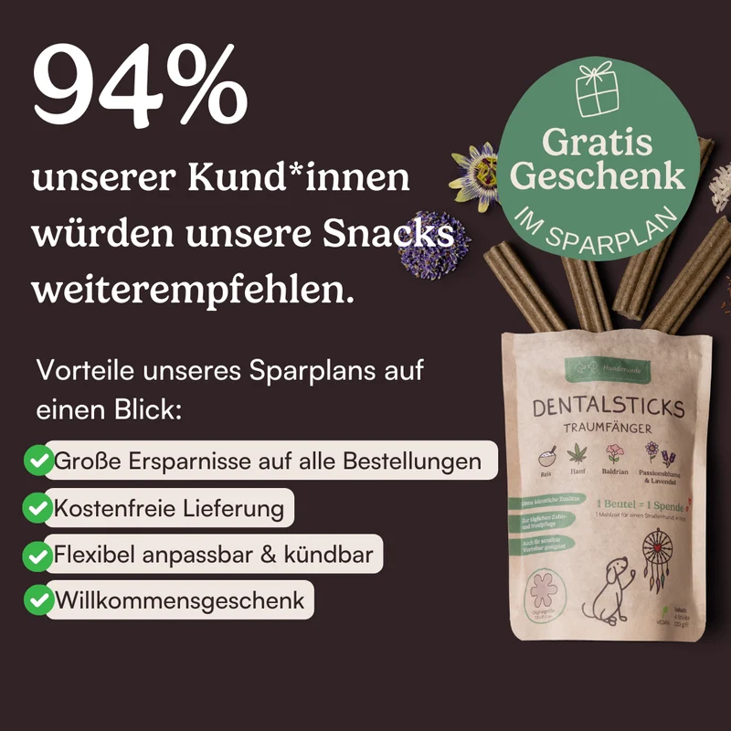 Dental Sticks Traumfänger
