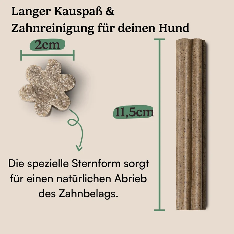 Dental Sticks Traumfänger