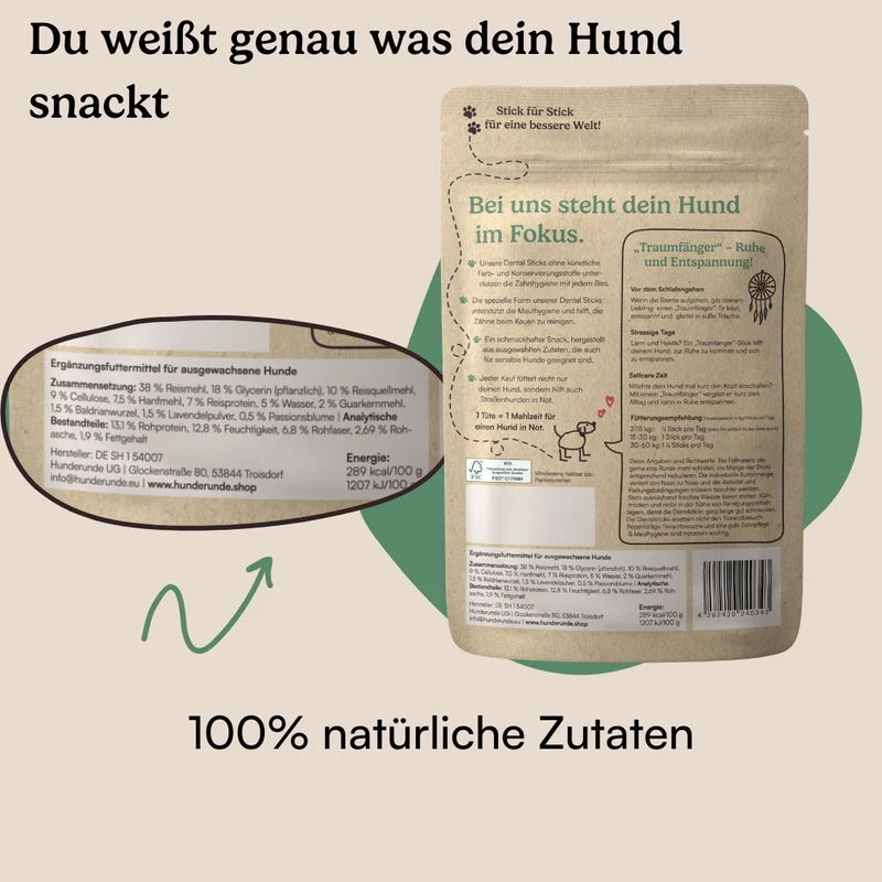 Dental Sticks Traumfänger
