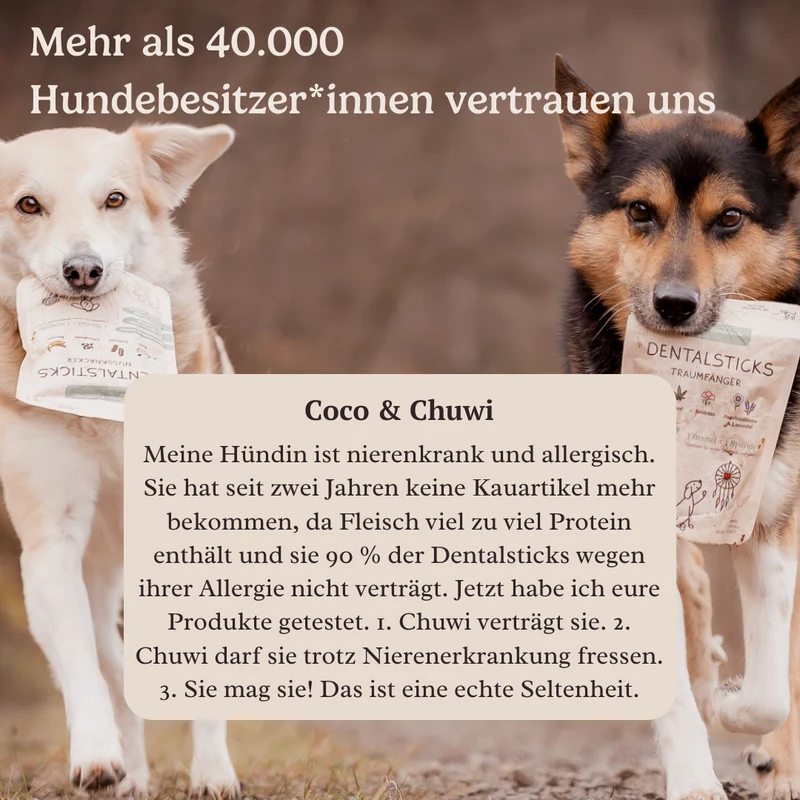 Dental Sticks Traumfänger