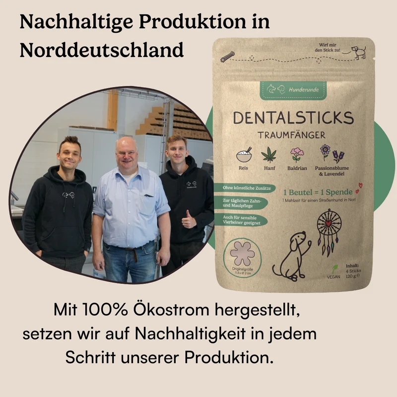 Dental Sticks Traumfänger