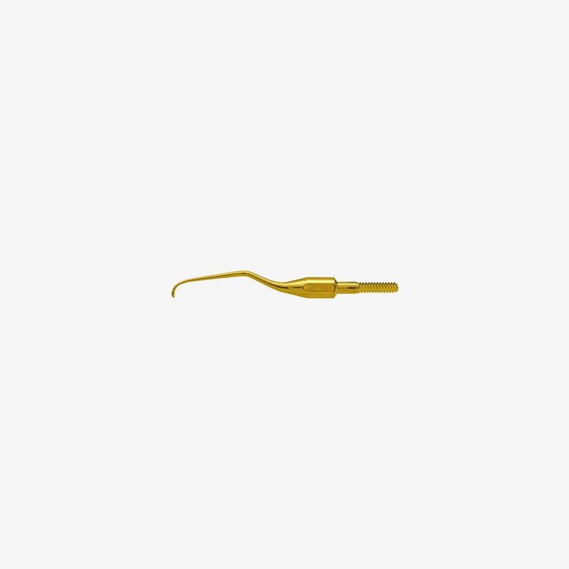 American Eagle XP Pro Thin Gracey Access