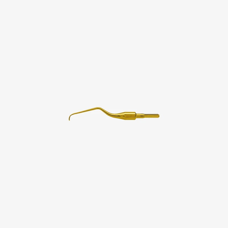 American Eagle XP Pro Thin Gracey Access