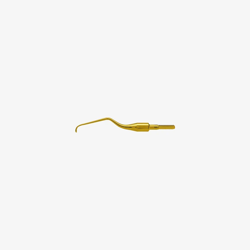American Eagle XP Pro Thin Gracey Access