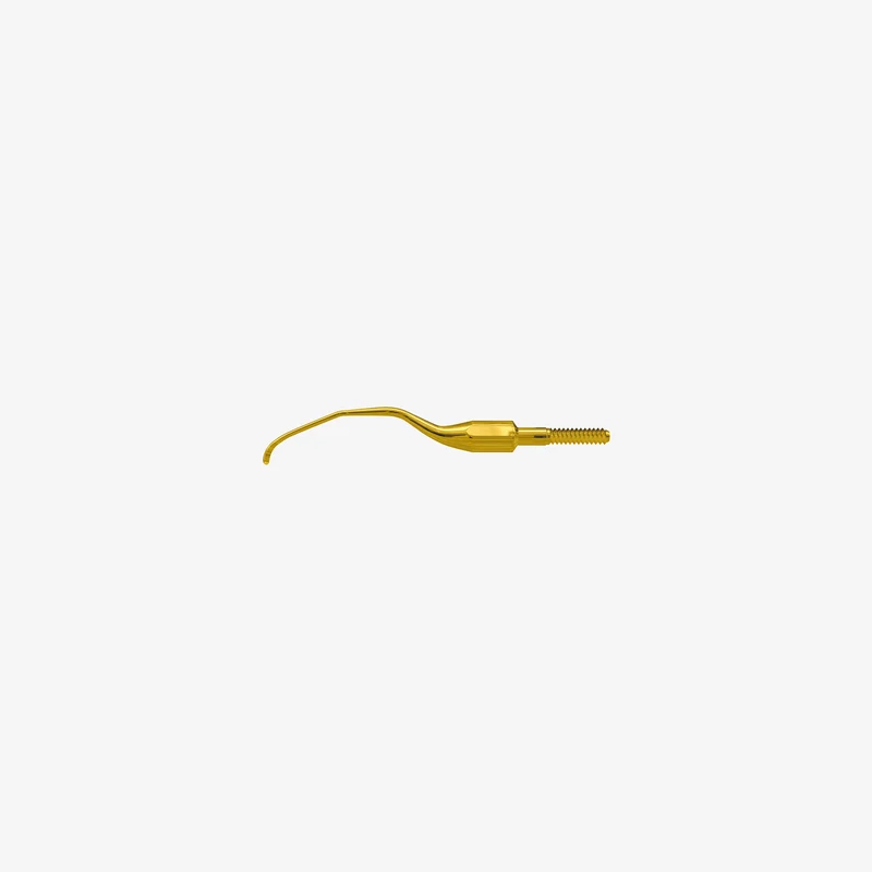 American Eagle XP Pro Thin Gracey Access
