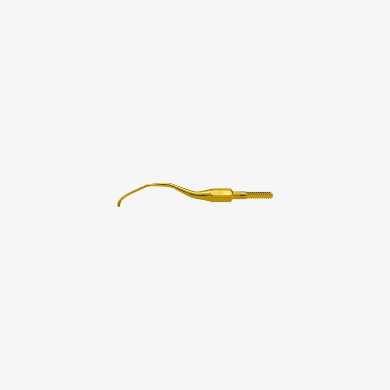 American Eagle XP Pro Thin Gracey Access
