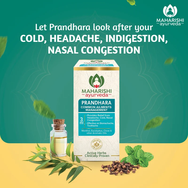Ayur Defence Shield - Complete Protection Against Seasonal Infections & Flu (Ayush Kwath 100gms, Ayur Defence AV 20 Tabs, Anu Taila 10ml & Prandhara 3ml)