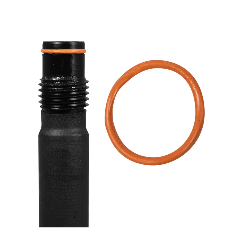 Parkell O-Ringe