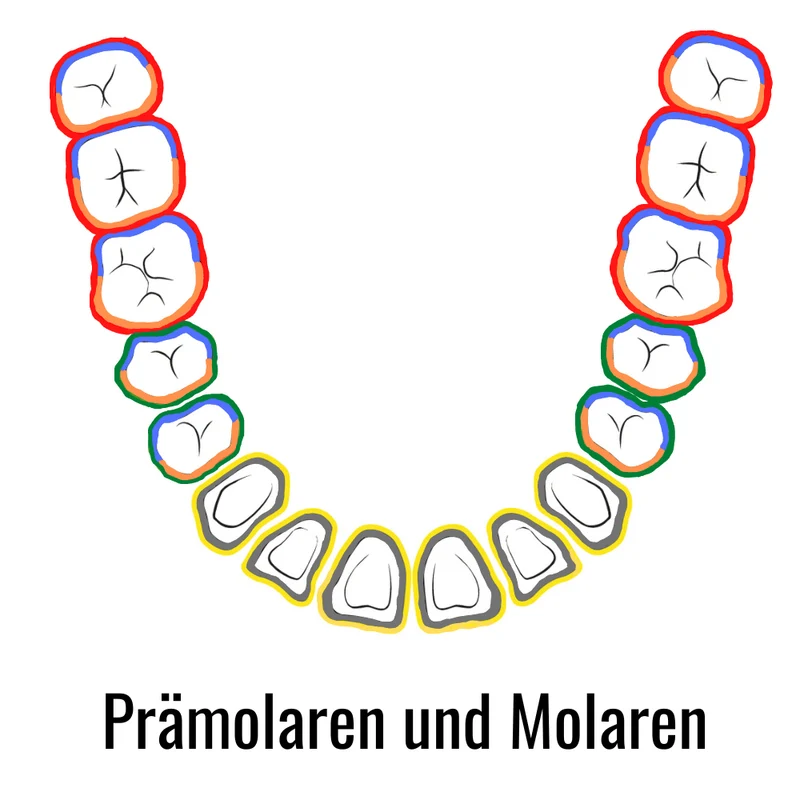 Gracey Küretten SET | 7 Colour Küretten