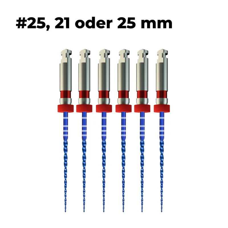Wurzelkanalinstrumente Pro-Flexi Feilen E3 NiTi | 6er Pack