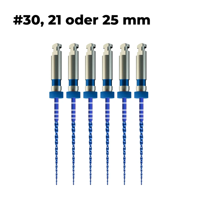 Wurzelkanalinstrumente Pro-Flexi Feilen E3 NiTi | 6er Pack