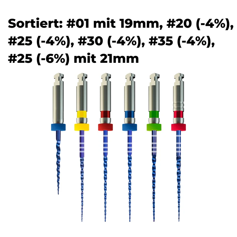 Wurzelkanalinstrumente Pro-Flexi Feilen E3 NiTi | 6er Pack