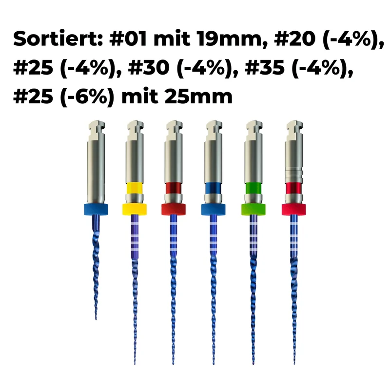 Wurzelkanalinstrumente Pro-Flexi Feilen E3 NiTi | 6er Pack