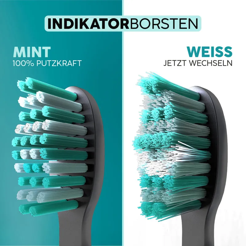 Aufsteckbürsten Eco Vibe 3+ | Black-Mint