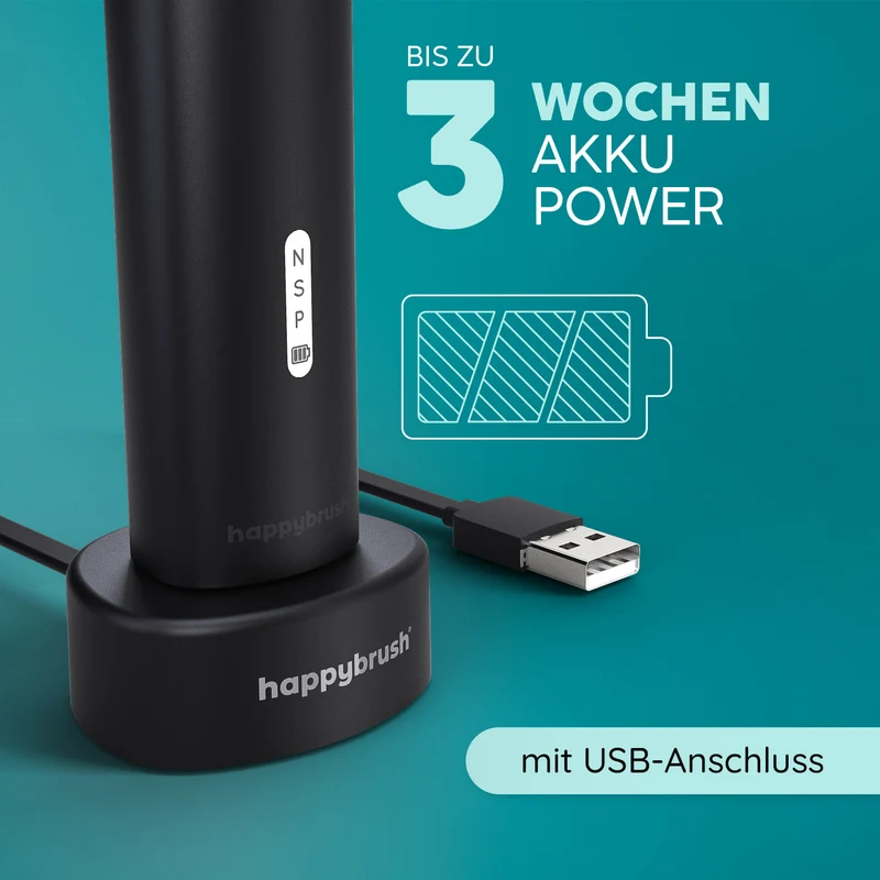 Eco R2 Zahnbürste | Allblack