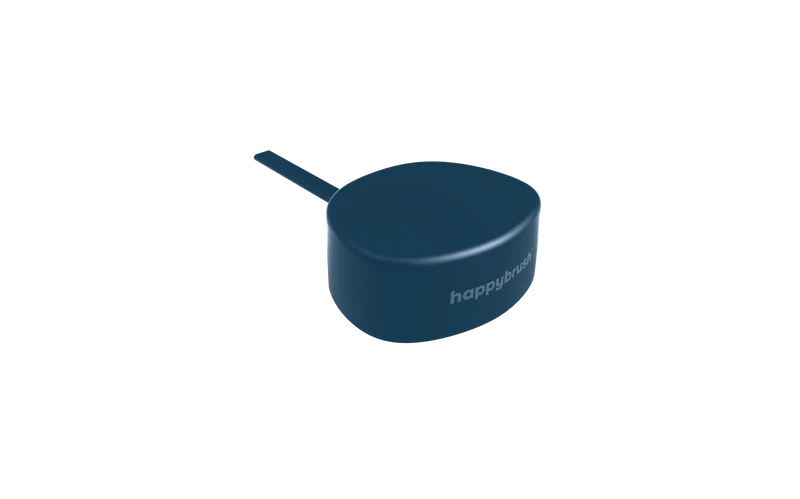 REFURBISHED CHARGER VIBE 3 | OCEAN/AURORA