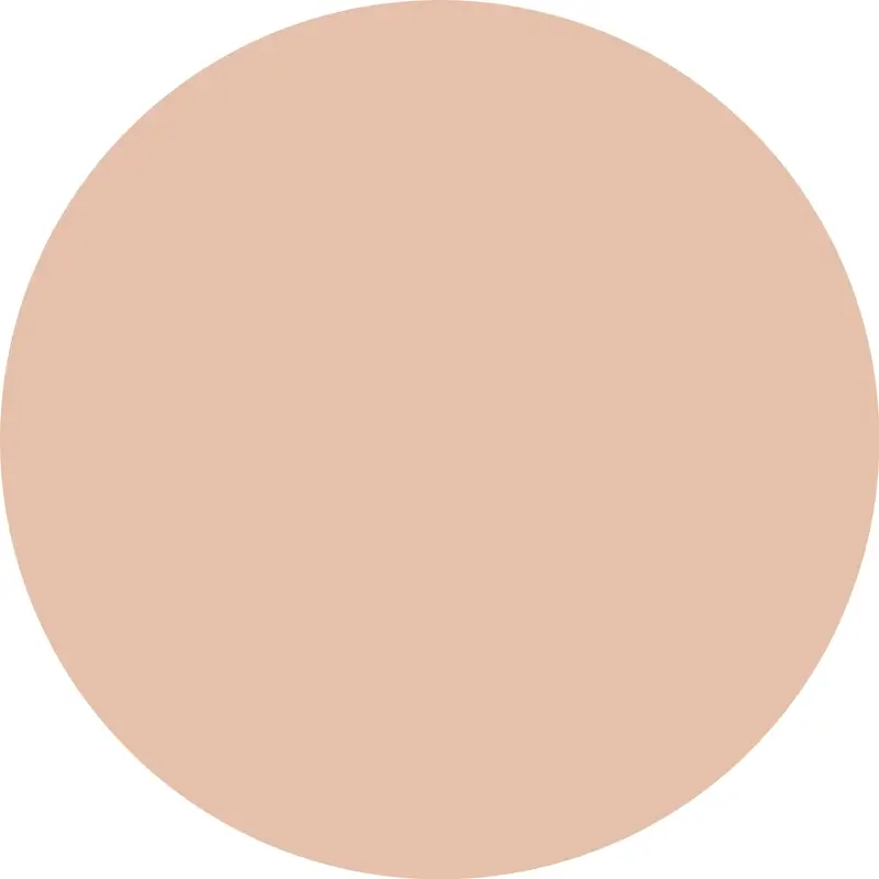 Essence Concealer Camouflage+ Matt 20 , 8 ml