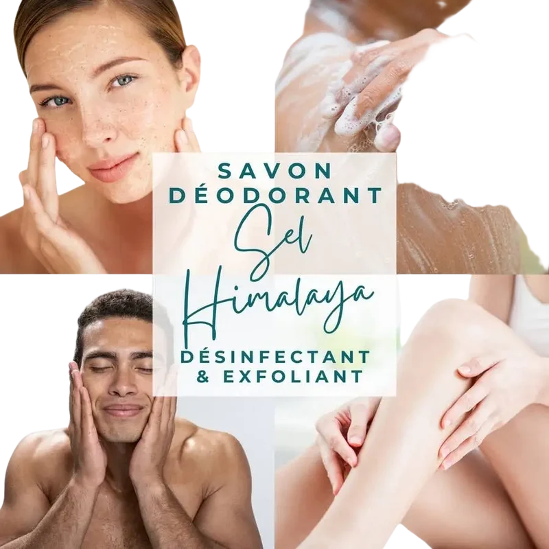 Natürliche Himalaya Salzseife
