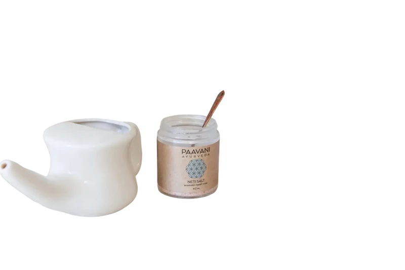 PAAVANI Ayurveda - Aromatisches Neti-Salz | Mineralspülung für die Nasenpflege Nasenspülsalz 118g