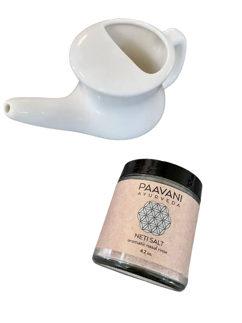 PAAVANI Ayurveda - Aromatisches Neti-Salz | Mineralspülung für die Nasenpflege Nasenspülsalz 118g
