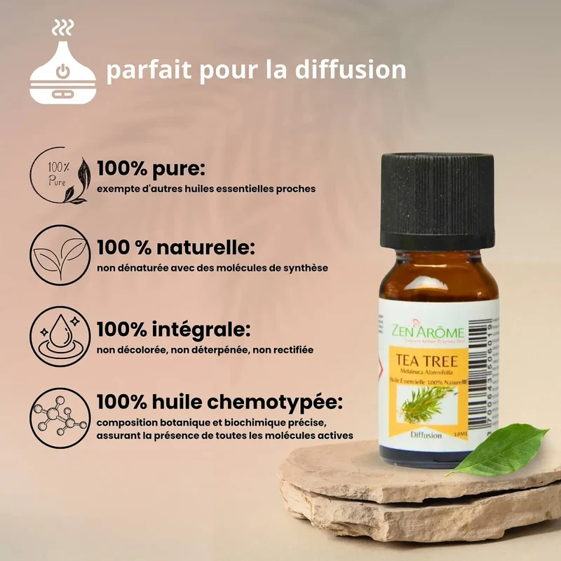 Zen'Arôme - Teebaum-Ätherisches Öl – 100 % natürlich – 10 ml